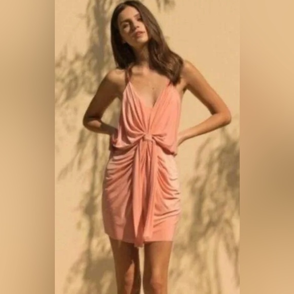 MISA Los Angeles Domino Mini Dress in Apricot Size S NWT - Picture 12 of 12